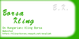 borsa kling business card